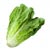 lettuce