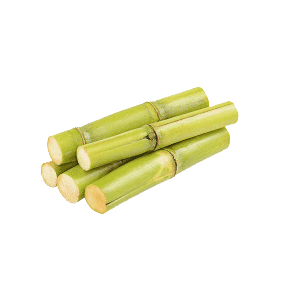 Sugarcane