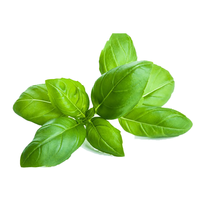 basil